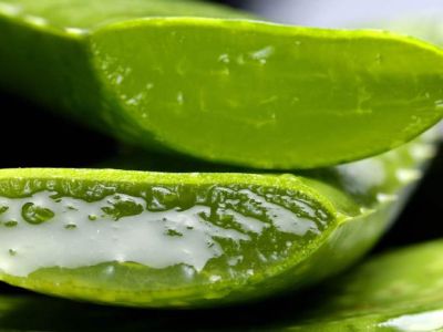 aloe vera per salute e bellezza
